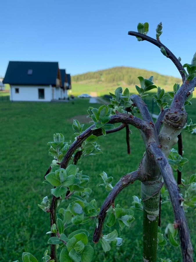 Villa Dobre Miejsce Niedzica Exterior foto
