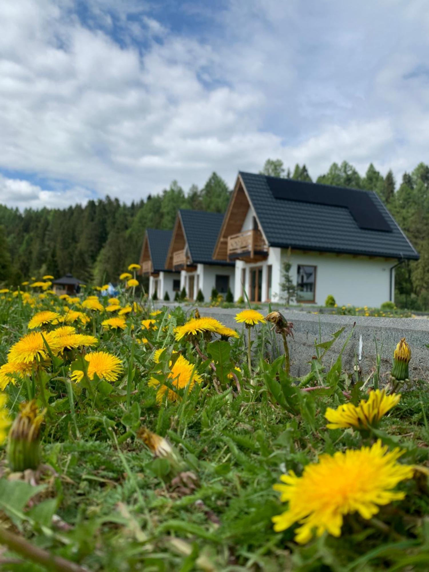 Villa Dobre Miejsce Niedzica Exterior foto