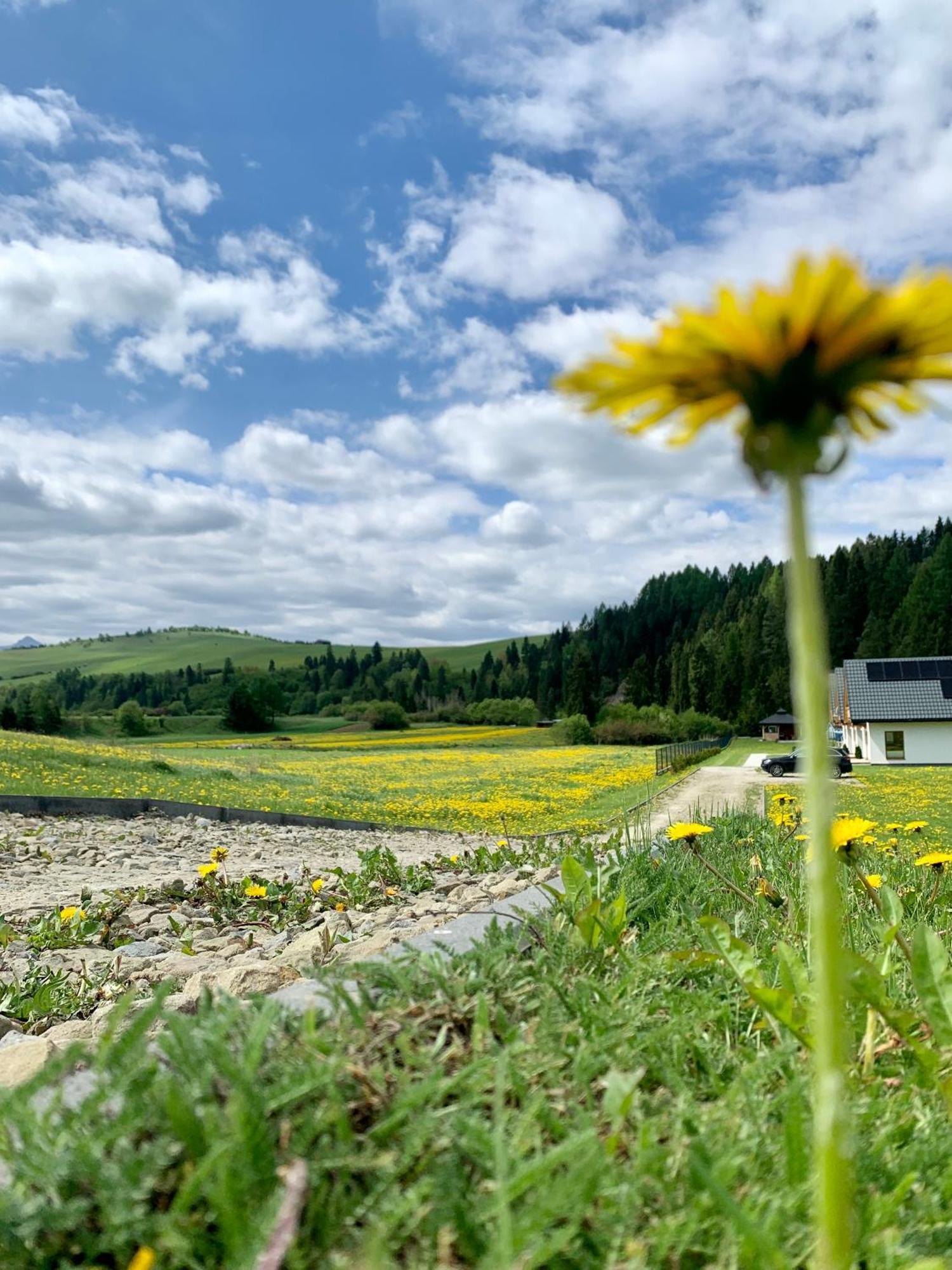 Villa Dobre Miejsce Niedzica Exterior foto